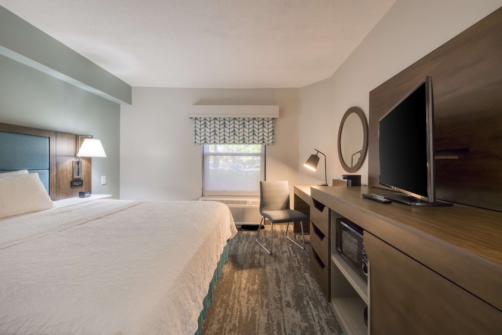 Room, 1 King Bed (Roll-In Shower)