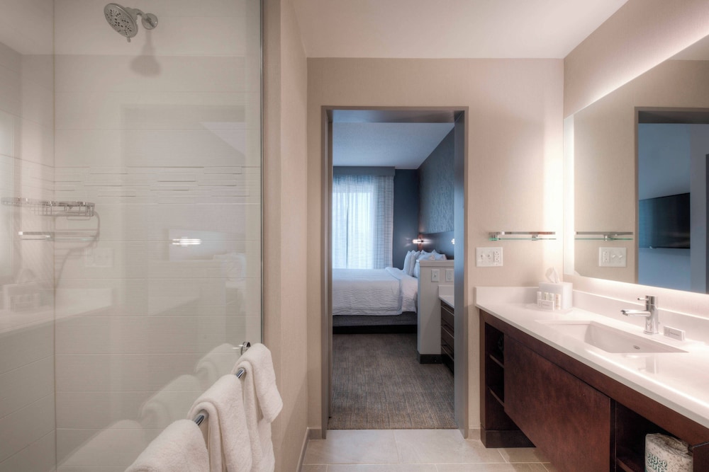 Suite, 1 King Bed with Sofa bed