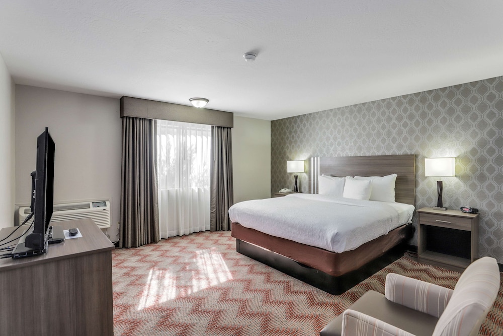 Suite, 1 King Bed, Non Smoking, Refrigerator & Microwave (with Sofabed) - Photo 3
