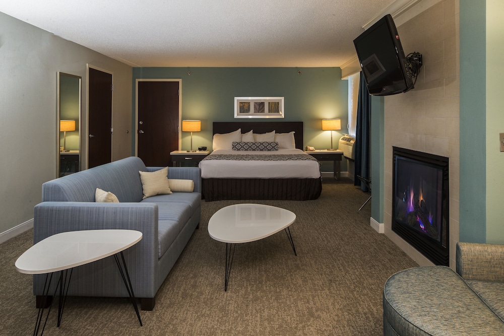 Suite, 1 Bedroom, Fireplace photo 2