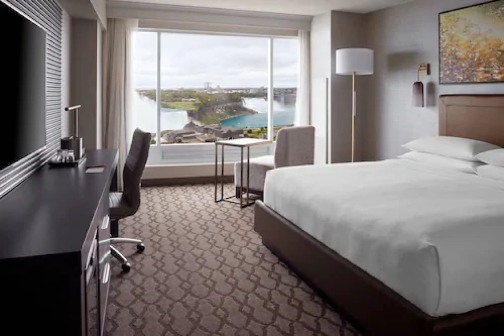Room, 1 King Bed