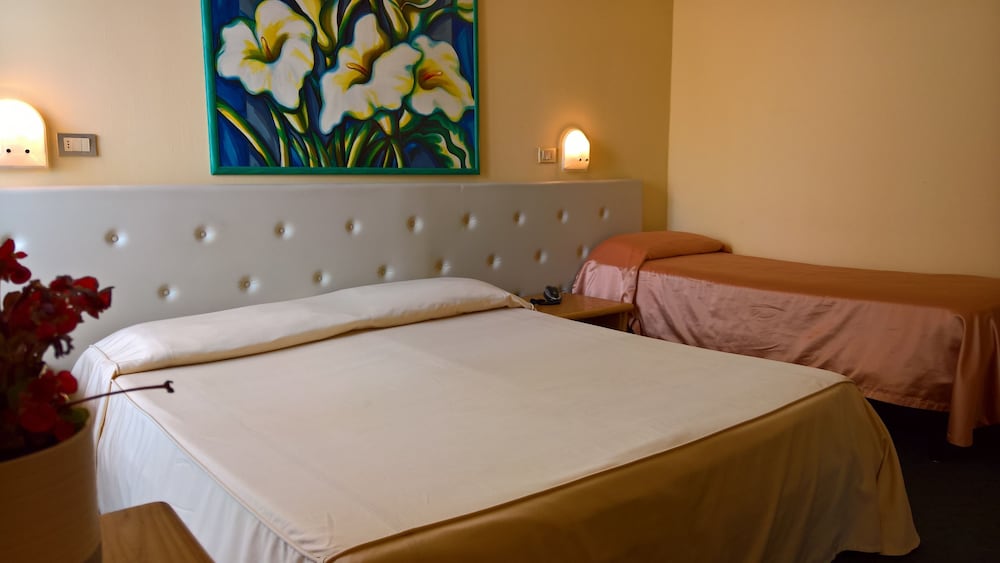 Single Room photo 1