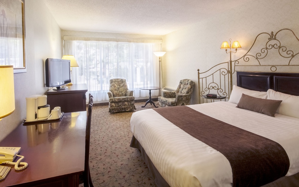 Economy Room, 1 Queen Bed photo 3