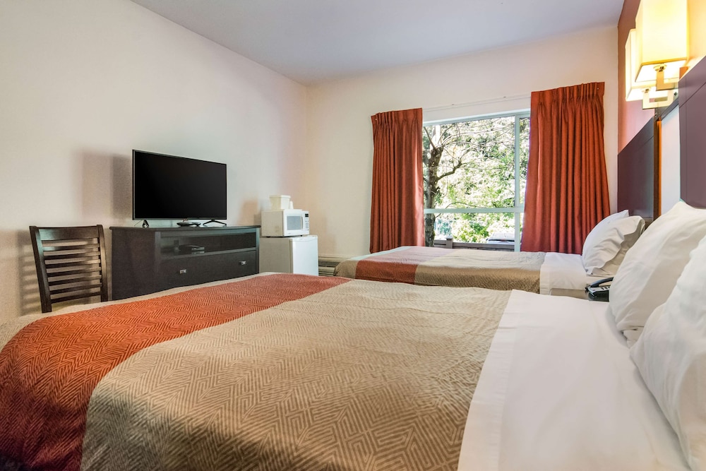 Standard Room, 2 Double Beds, Non Smoking, Refrigerator - Photo 2