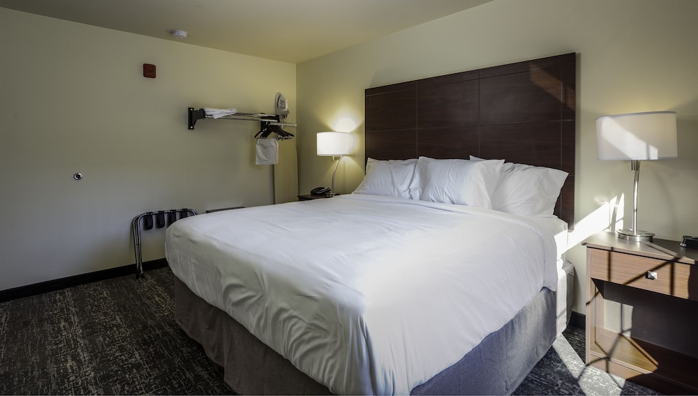 Suite, 1 King Bed with Sofa bed, Non Smoking - Photo 3