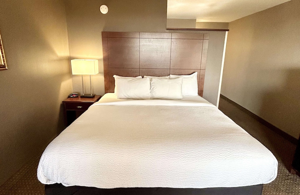 Traditional Room, 1 King Bed, Non Smoking, Refrigerator & Microwave - Photo 1