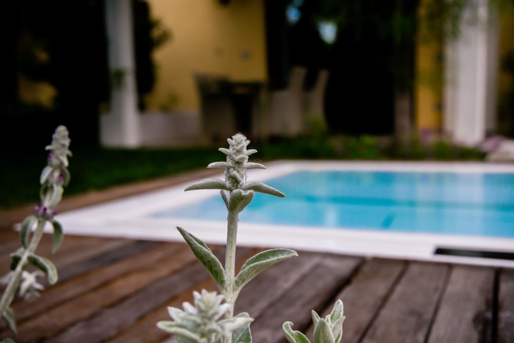 Exclusive Suite, 2 Bedrooms, Private Pool, Garden View (Parc) - Photo 12