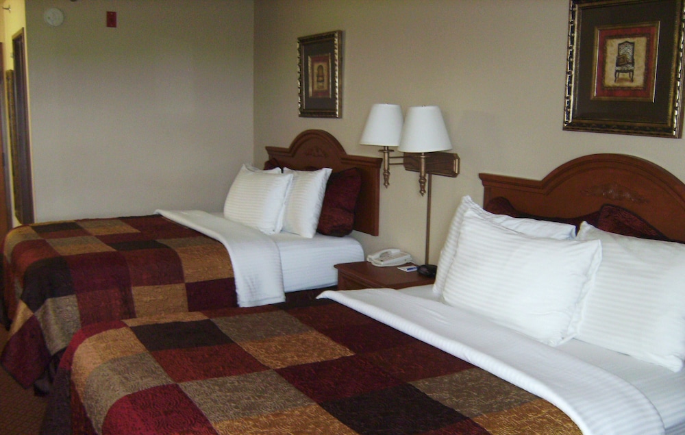 Family Suites photo 1