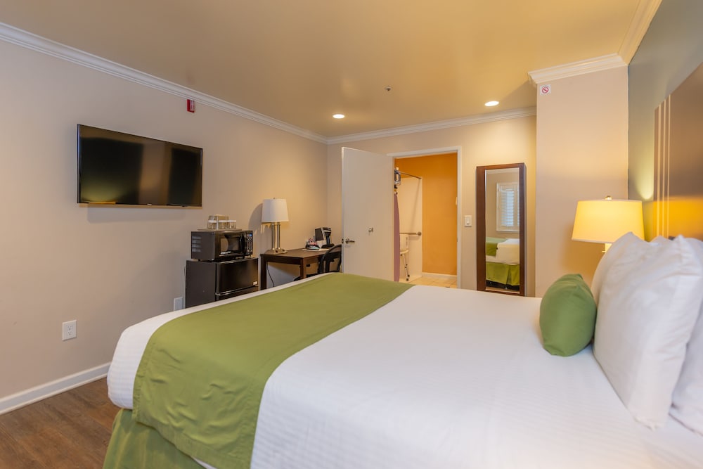 Room, 1 Queen Bed, Mobility Accessible - Photo 3