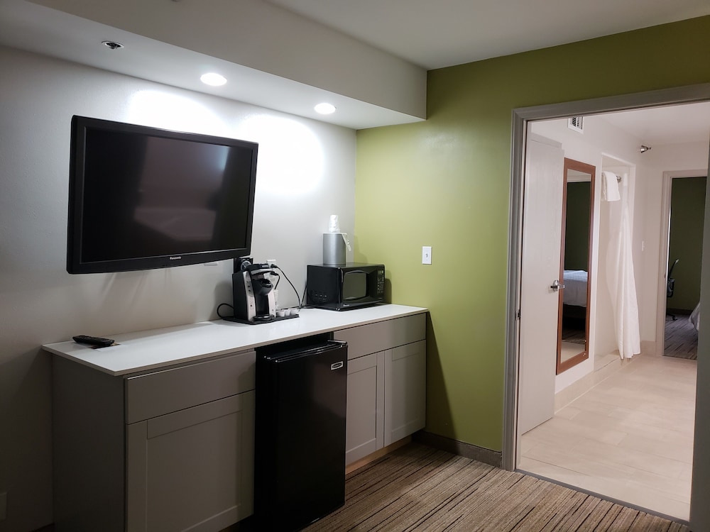Suite, 1 Bedroom - Photo 6