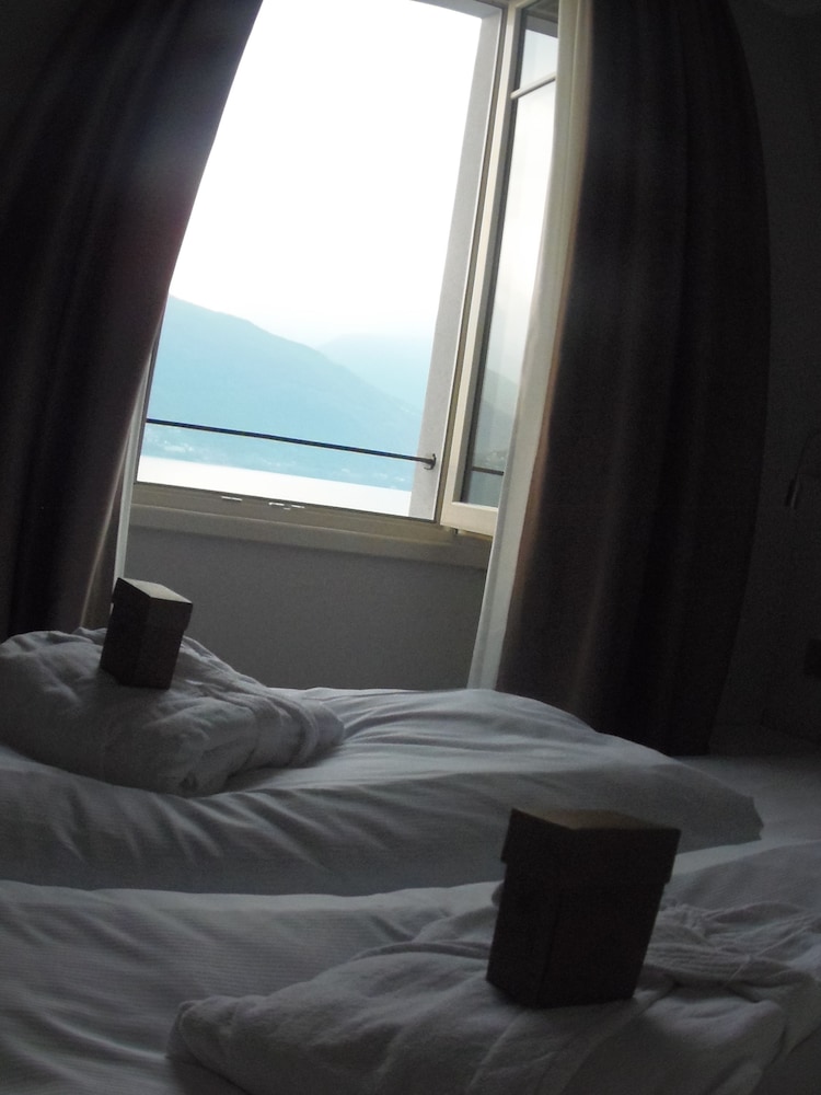 Suite (101)