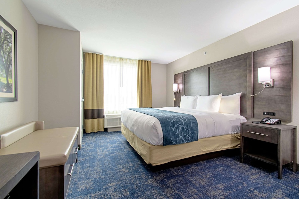 Suite, 1 King Bed with Sofa bed, Accessible, Non Smoking photo 1