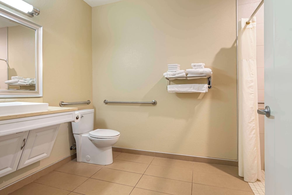 Standard Room, Multiple Beds, Accessible, Refrigerator & Microwave - Photo 5