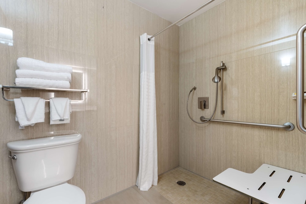 Standard Room, 1 King Bed, Accessible, Refrigerator & Microwave - Photo 6