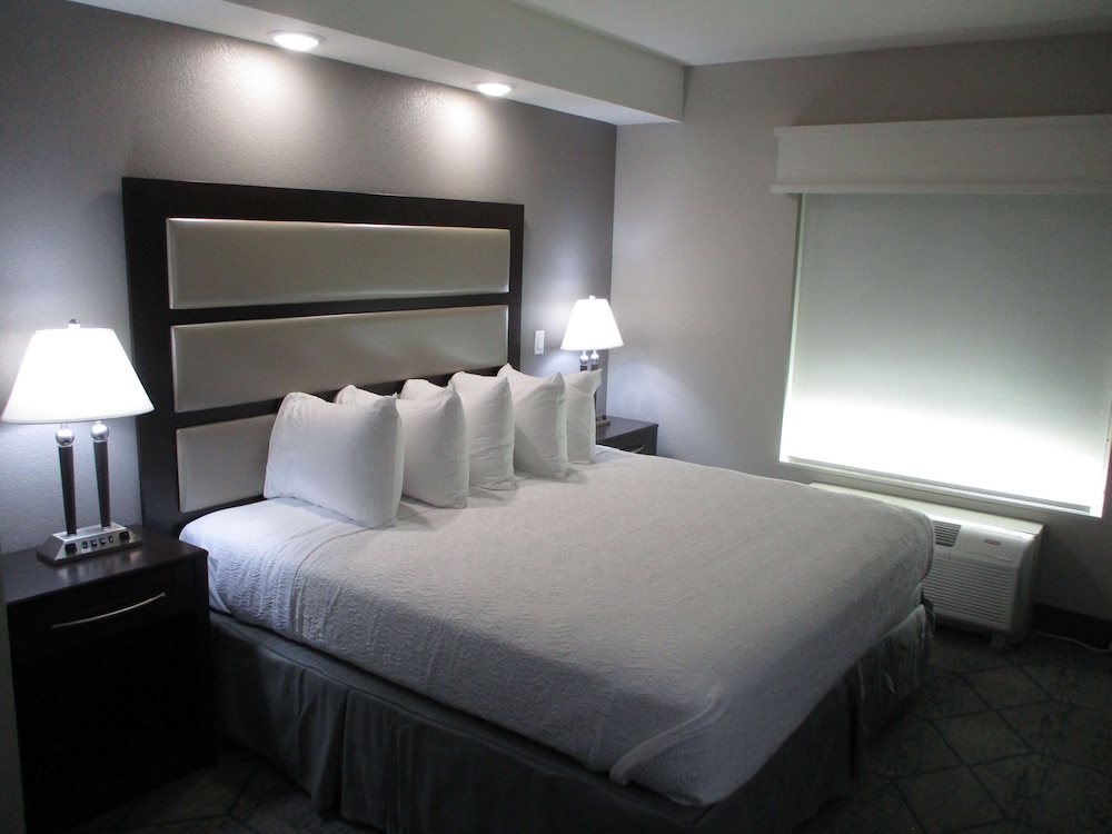 Suite, 1 King Bed, Refrigerator & Microwave (with Sofabed) - Photo 1
