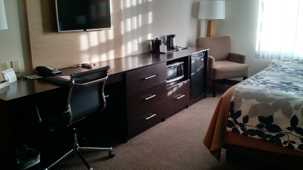 Suite, 1 King Bed with Sofa bed, Non Smoking