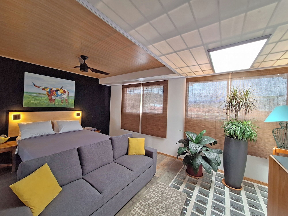 Deluxe Studio, Park View