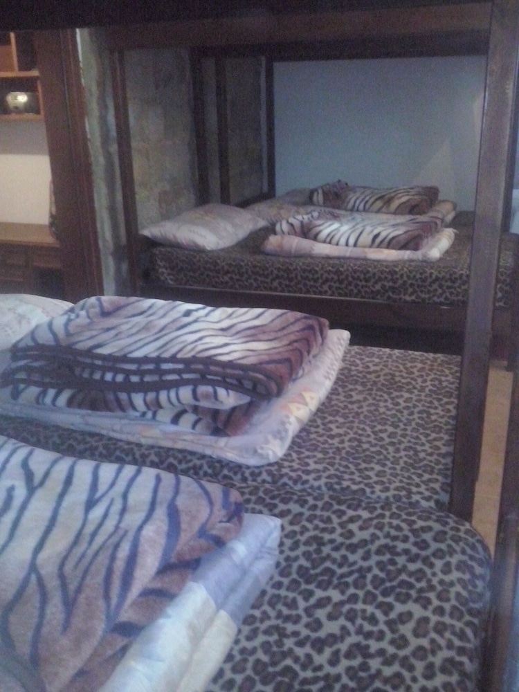 Shared Dormitory, 1 Twin Bed photo 1