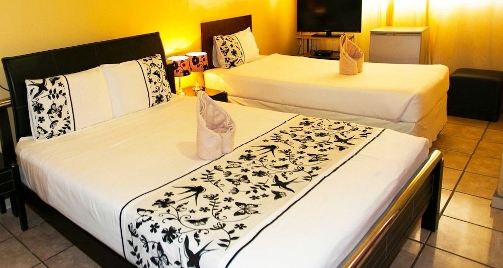 Twin Room photo 1