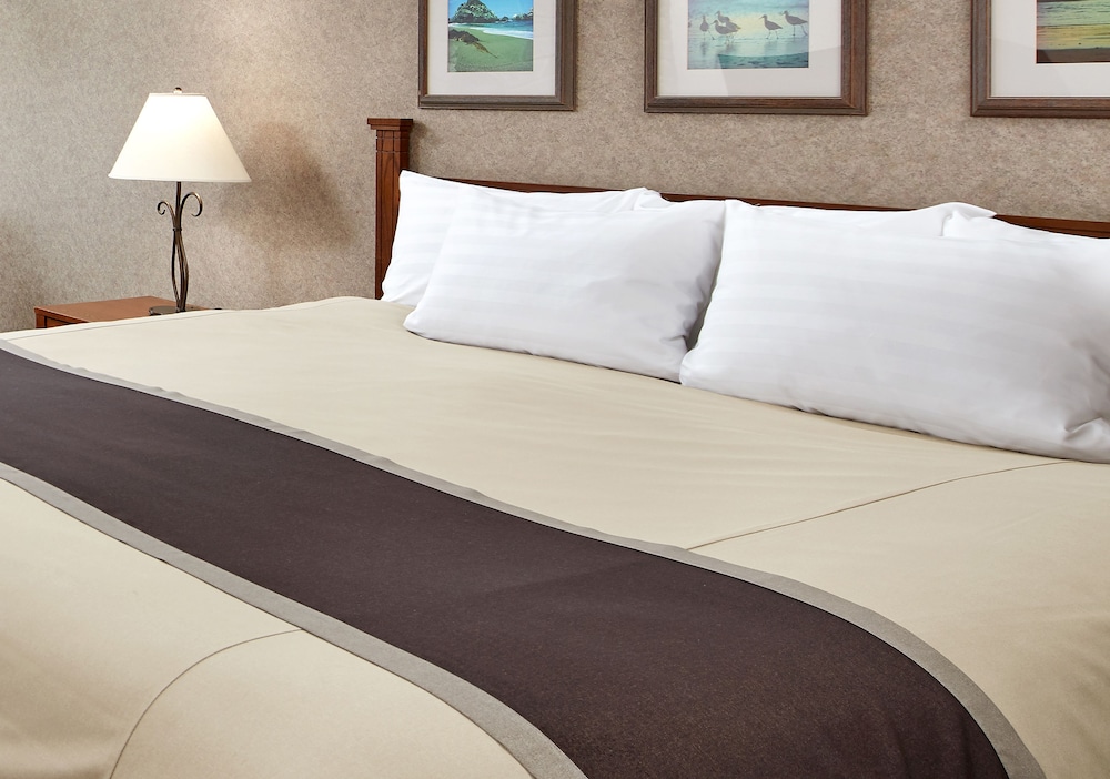 Premium Room, 1 King Bed (Coastal View) photo 3