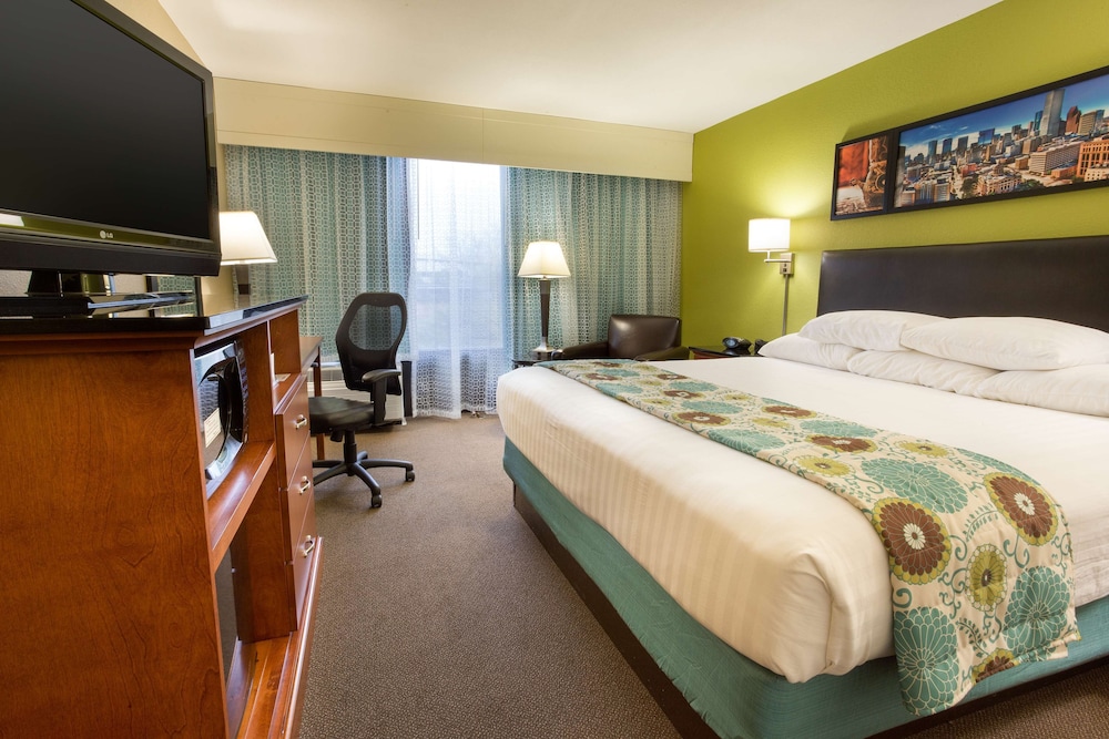 Deluxe Room, 1 King Bed, Accessible, Refrigerator & Microwave (Roll In Shower) photo 1