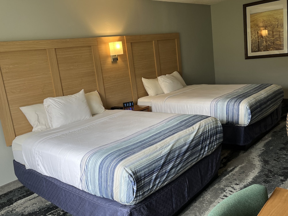 Room, 2 Queen Beds, Non Smoking photo 2