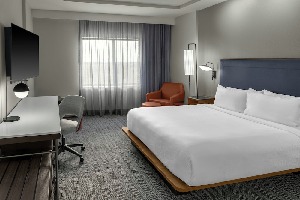 Room, 1 King Bed