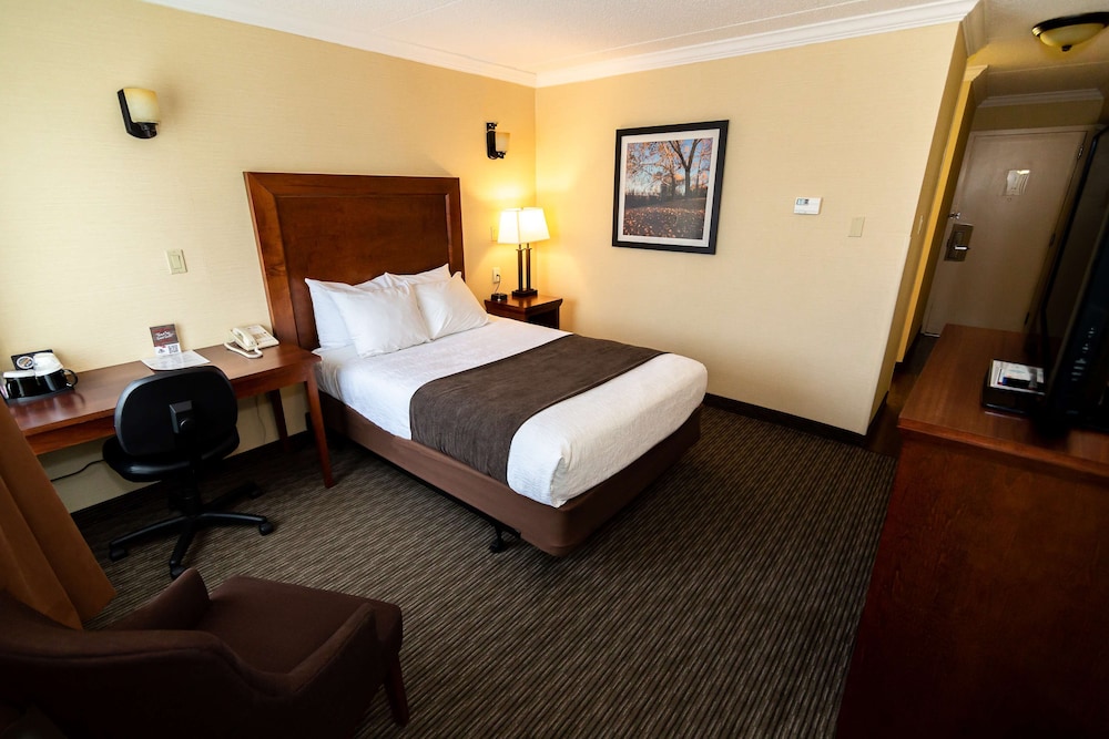 Standard Room, 1 Double Bed, Non Smoking, Refrigerator & Microwave photo 2