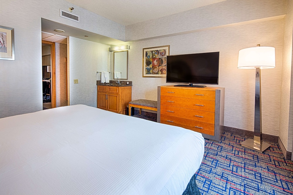 Basic Suite, 1 King Bed, Non Smoking (Conference) photo 2