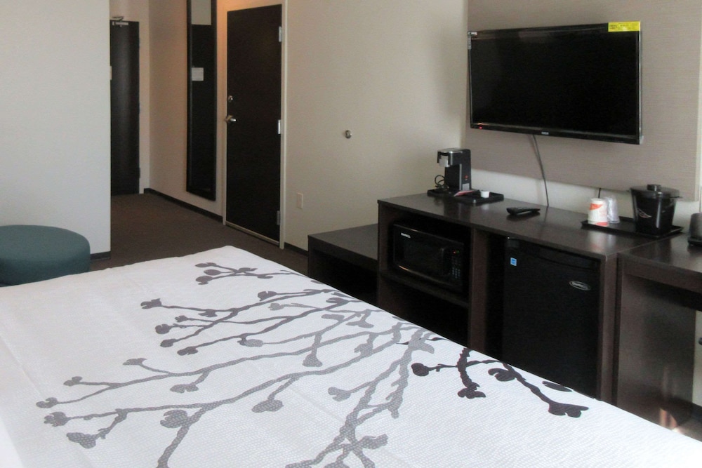 Suite, 1 King Bed, Accessible, Non Smoking - Photo 1