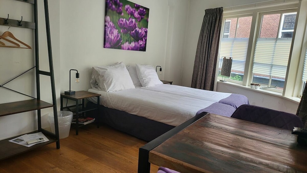 Deluxe Double or Twin Room photo 2