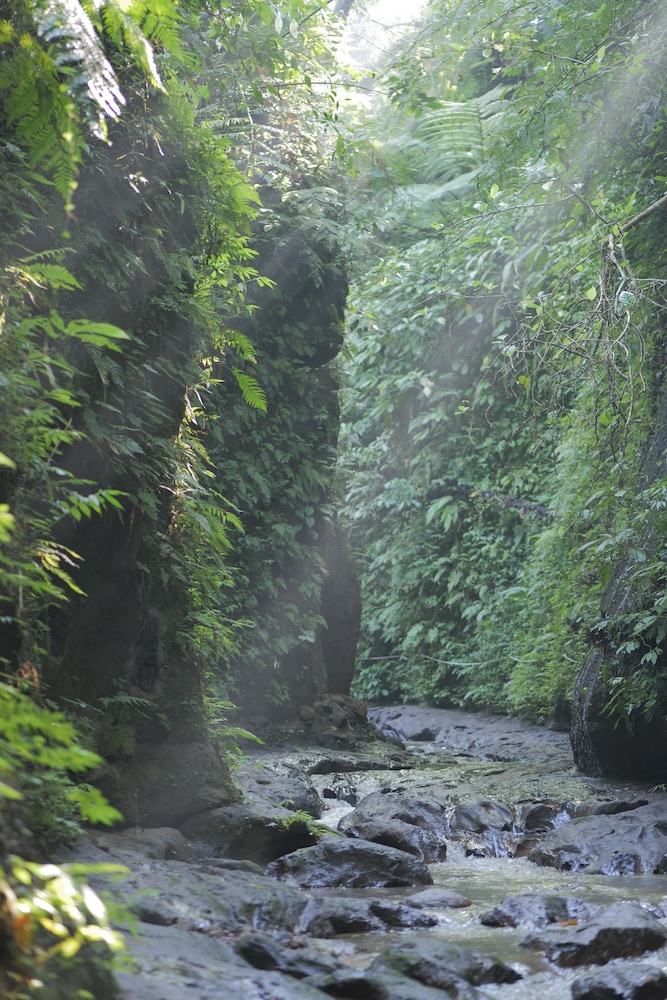 River Suite (with Daily Afternoon Tea)