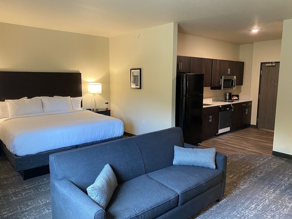 Single King Suite, Accessible Shower, Non Smoking - Photo 5