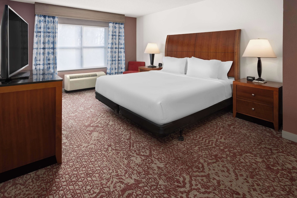 Premium Suite, 1 King Bed - Photo 3