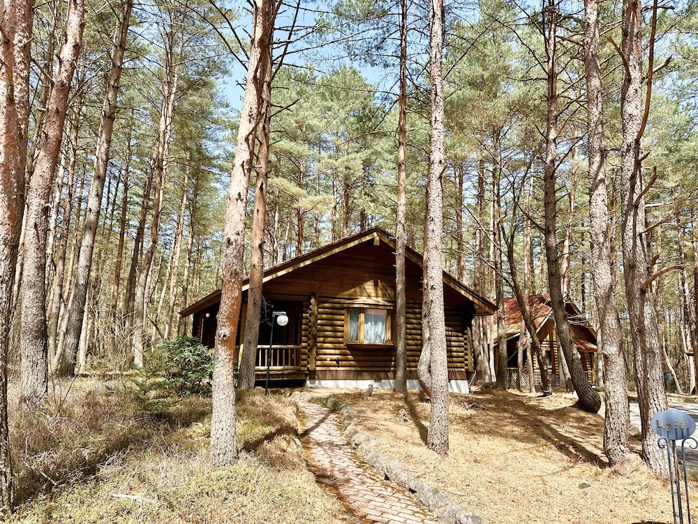 Private Cottage - Log Cabin - Photo 11