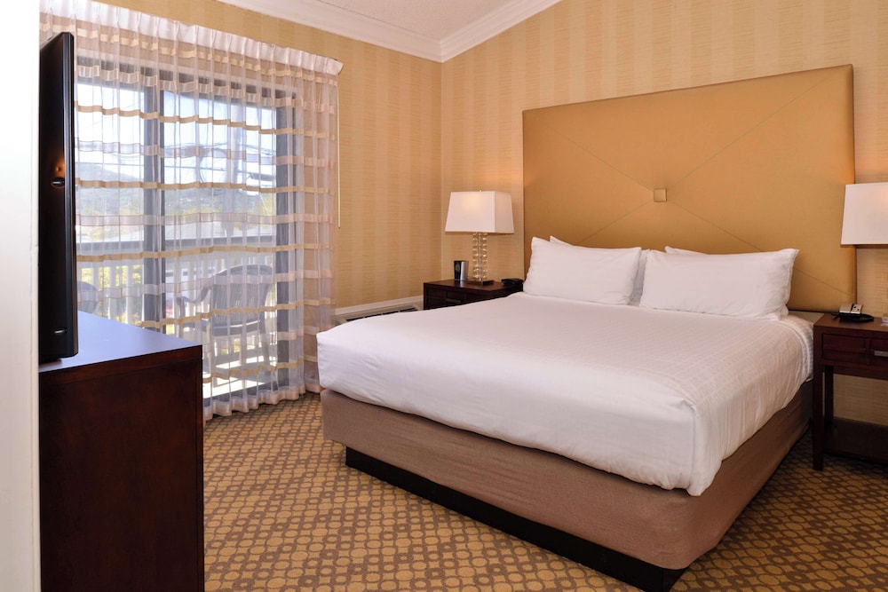Suite, 1 King Bed, Non Smoking, Refrigerator & Microwave (Separate Living Room) - Photo 5
