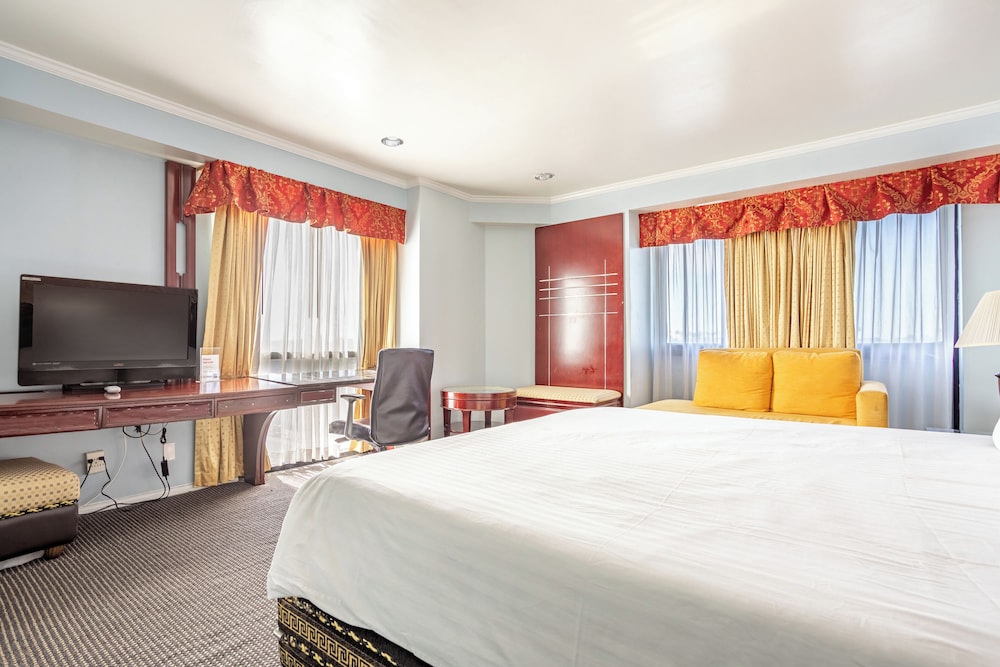 Single Room, 1 King Bed