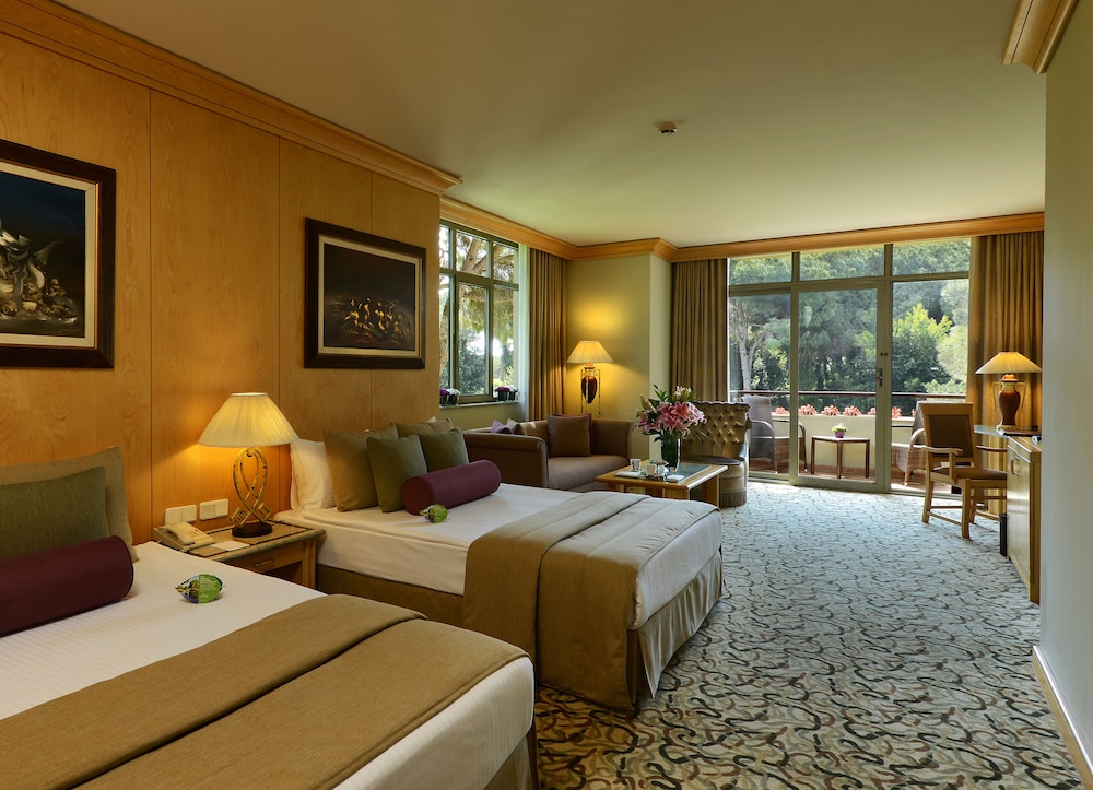 Deluxe Suite photo 1