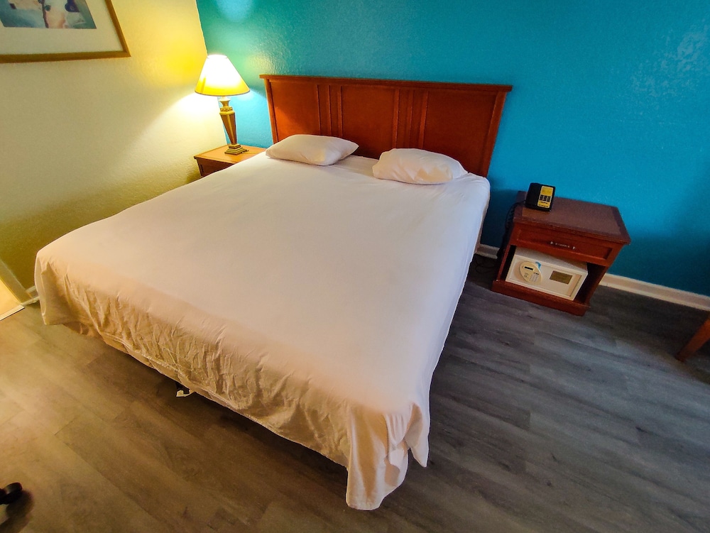 Traditional Room, 1 King Bed, Smoking, Refrigerator & Microwave photo 1
