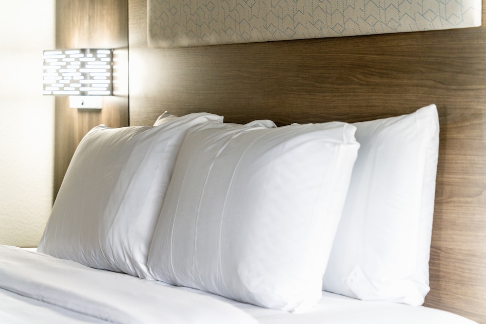 Suite, 1 King Bed - Photo 2