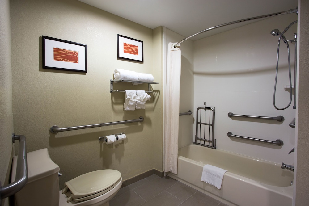 Suite, Accessible, Non Smoking - Photo 5