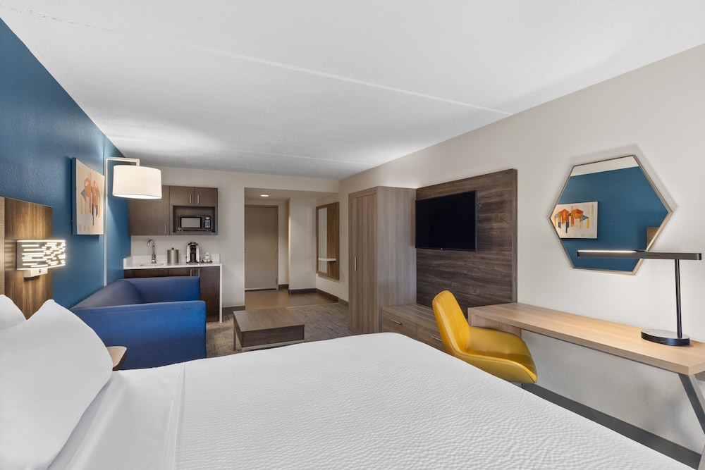 Suite, 1 King Bed - Photo 6