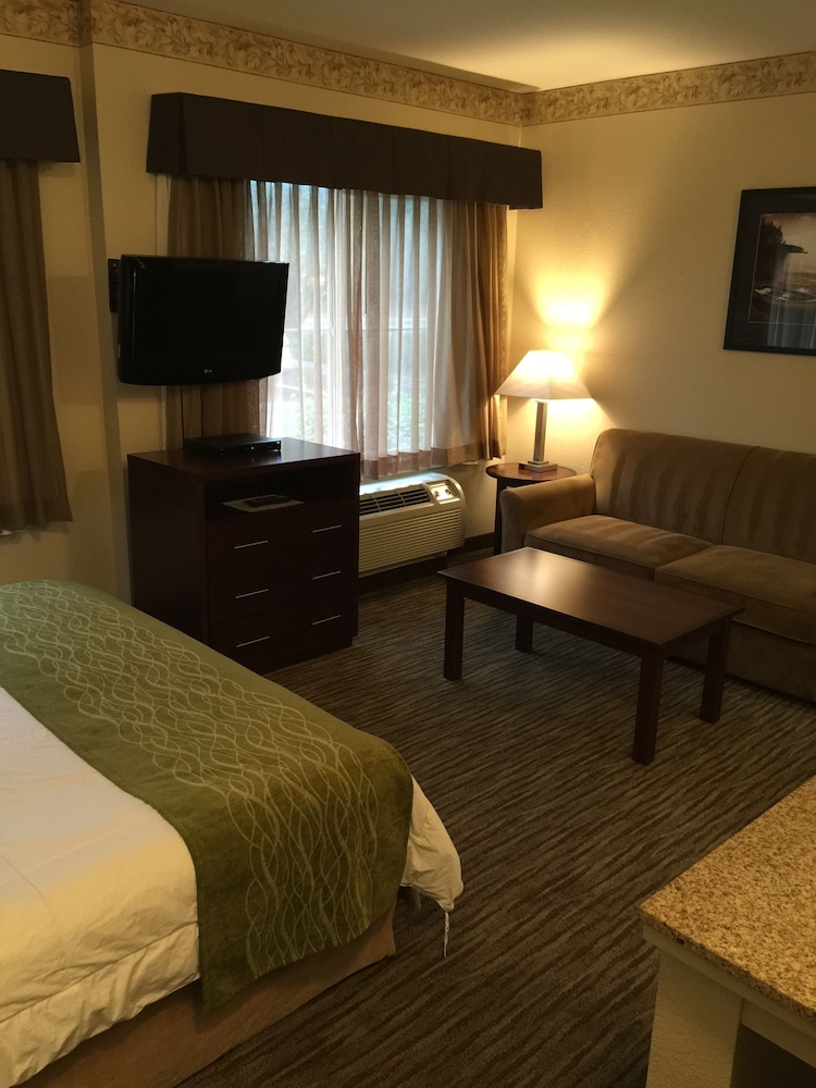 Suite, 1 King Bed, Non Smoking - Photo 7