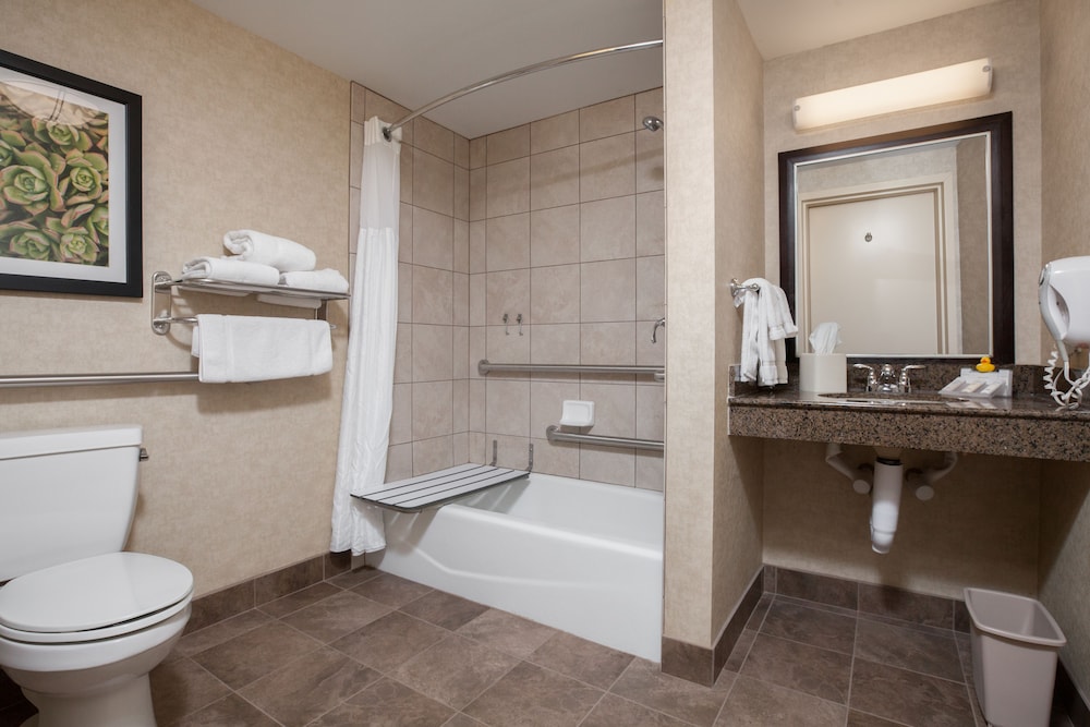 Room, 1 Queen Bed, Accessible, Bathtub (Mobility & Hearing) - Photo 10