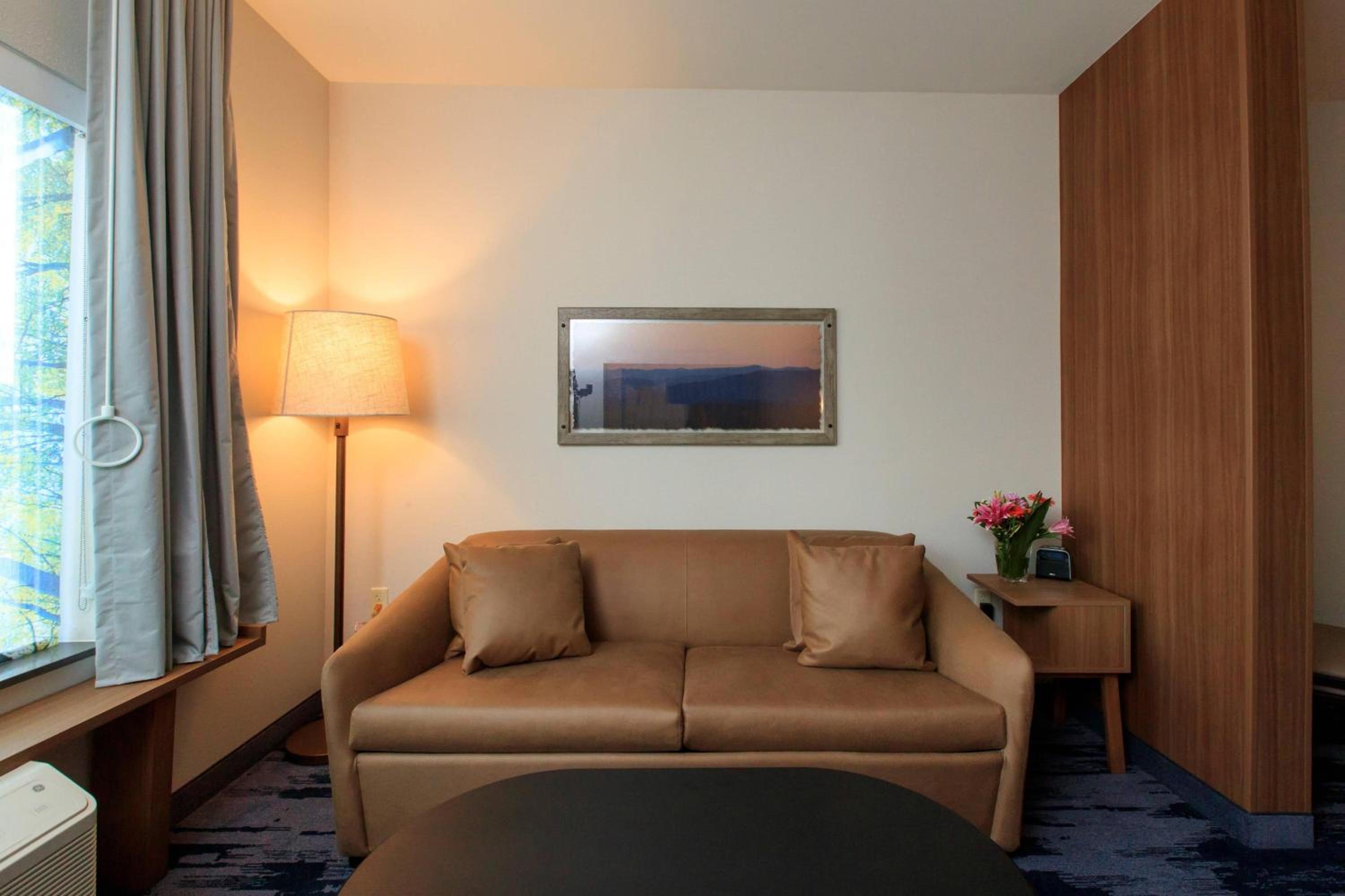 Executive King Suite with Sofa Bed photo 1