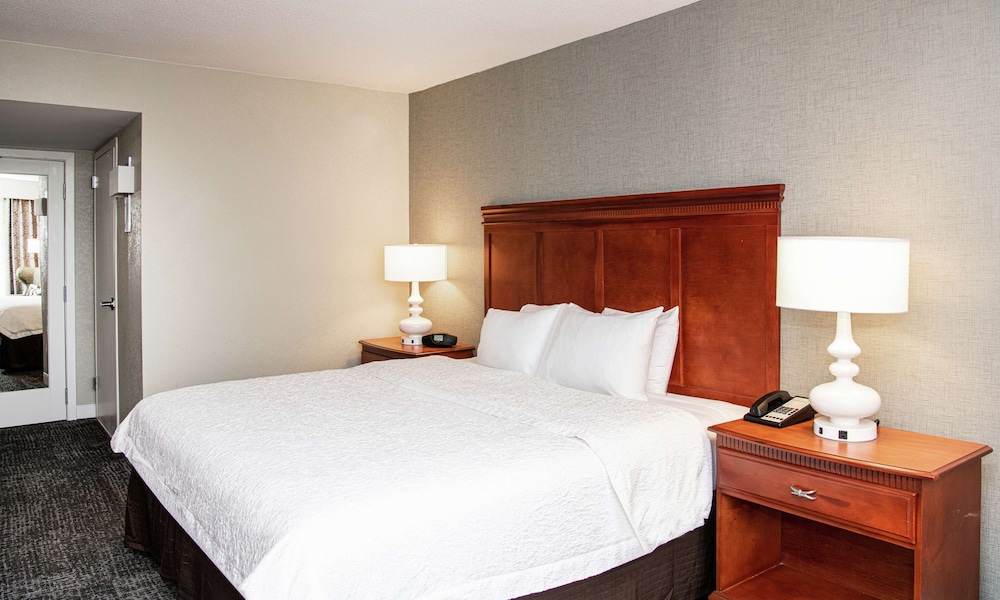 Room, 1 King Bed, Accessible, Bathtub (Mobility) - Photo 3