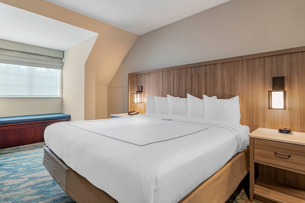 Room, 1 King Bed, Accessible, Non Smoking - Photo 6