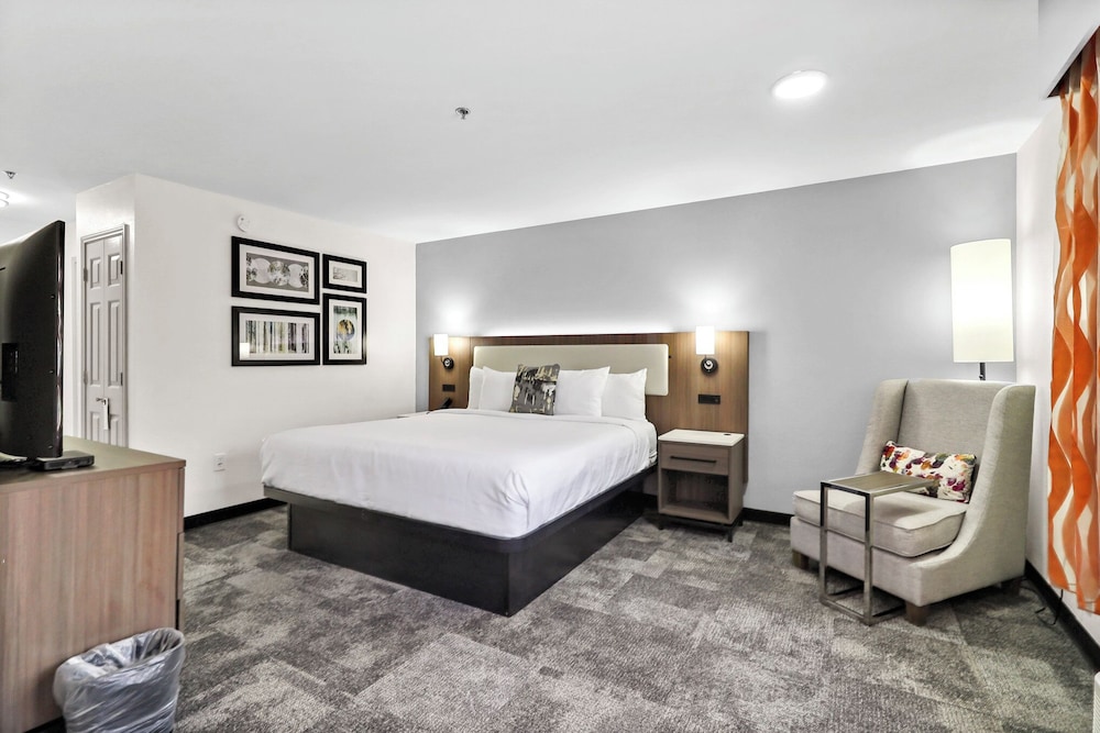 Room, 1 King Bed, Non Smoking - Photo 6