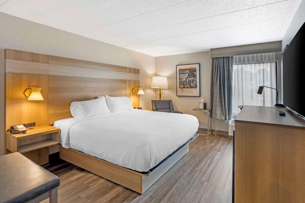 Standard Room, 1 King Bed, Non Smoking, Jetted Tub - Photo 10