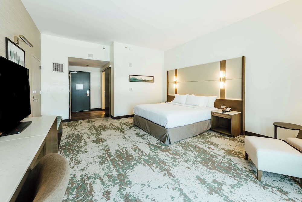 Room, 1 King Bed, Accessible, Bathtub
